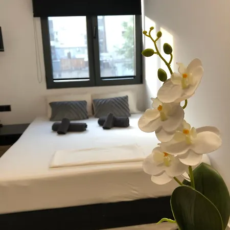 Port Deluxe Apartment *